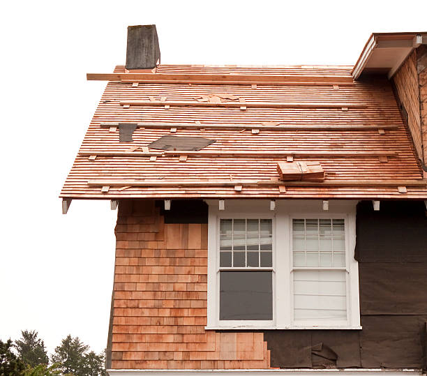 Affordable Siding Repair and Maintenance Services in James City, NC